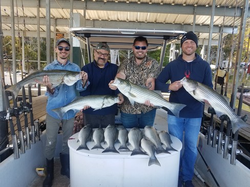 Nice Striped Bass