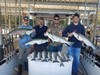 (10/23/2019) - Nice Striped Bass