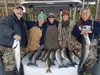 (11/01/2019) - Nice Striped Bass