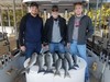 (11/04/2019) - Nice Striped Bass