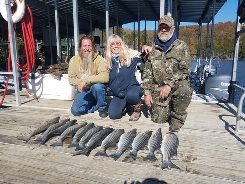 Nice Striped Bass