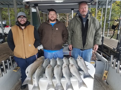 Nice Striped Bass