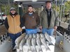 (11/07/2019) - Nice Striped Bass