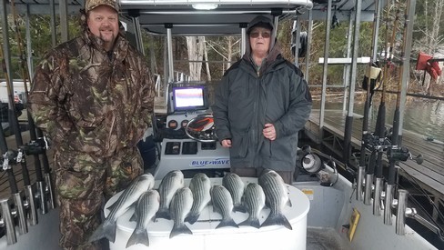 Nice Striped Bass