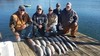 (11/24/2019) - Nice Striped Bass