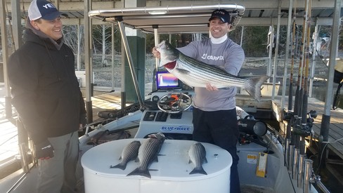 Nice Striped Bass