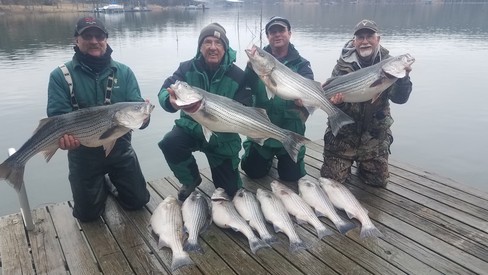 Nice Striped Bass