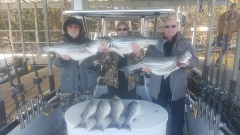 Nice Striped Bass