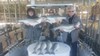 (02/28/2020) - Nice Striped Bass