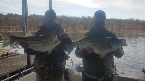 Nice Striped Bass