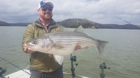 Nice Striped Bass