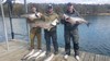 (03/02/2020) - Nice Striped Bass