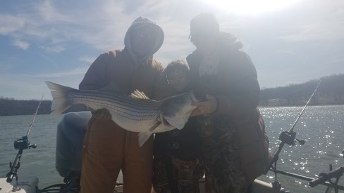 Nice Striped Bass