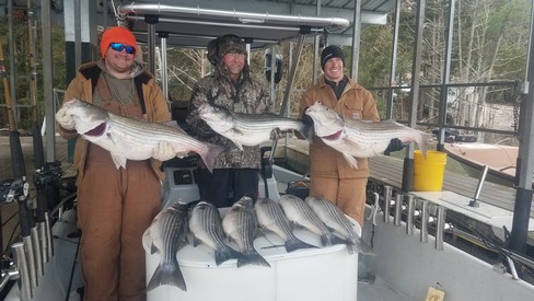 Nice Striped Bass