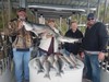 (04/11/2020) - Nice Striped Bass