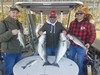 (04/18/2020) - Nice Striped Bass