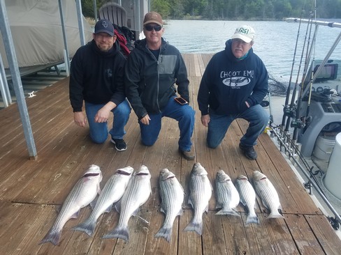 Nice Striped Bass