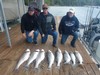 (04/25/2020) - Nice Striped Bass