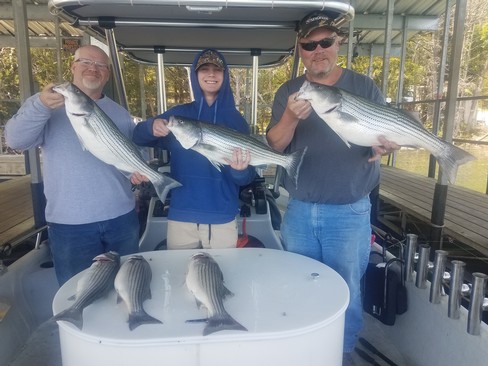 Nice Striped Bass