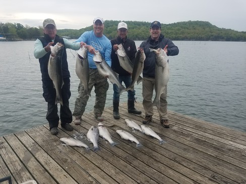 Nice Striped Bass