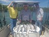 (05/01/2020) - Nice Striped Bass