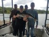 (05/14/2020) - Nice Striped Bass