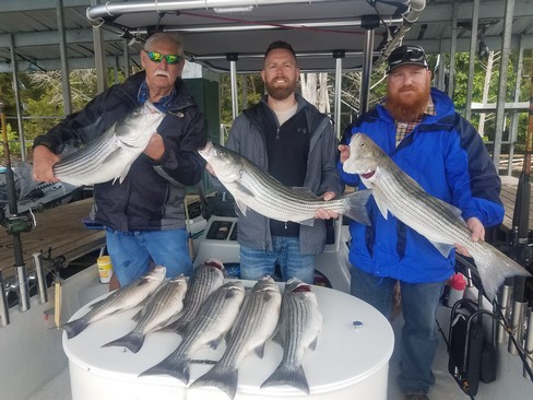 Nice Striped Bass