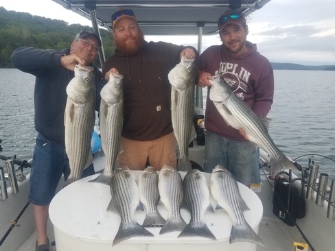 Nice Striped Bass