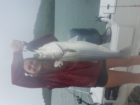 Nice Striped Bass