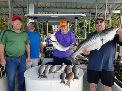 Nice Striped Bass