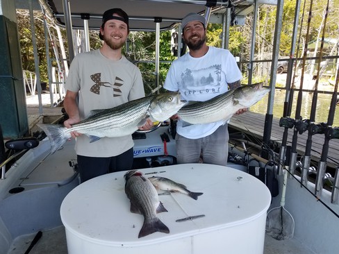 Nice Striped Bass