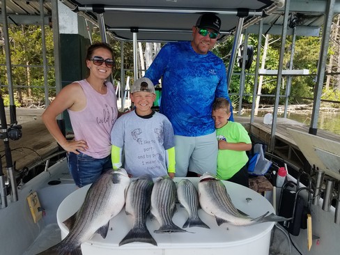 Nice Striped Bass