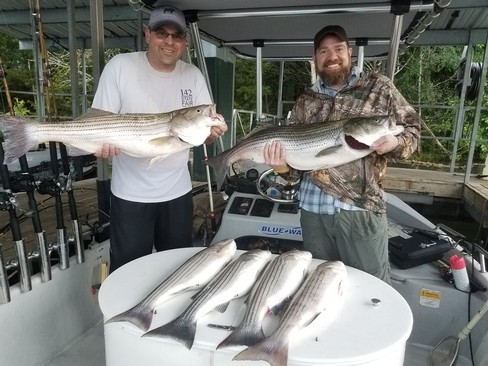 Nice Striped Bass