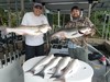 (05/04/2020) - Nice Striped Bass
