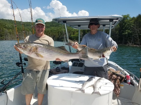 Nice Striped Bass