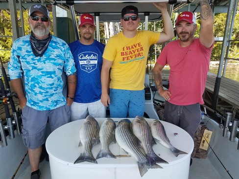 Nice Striped Bass