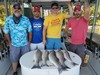 (06/07/2020) - Nice Striped Bass