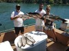 (06/07/2020) - Nice Striped Bass