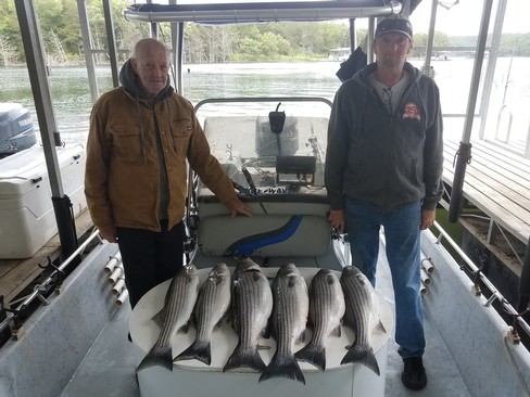 Nice Striped Bass