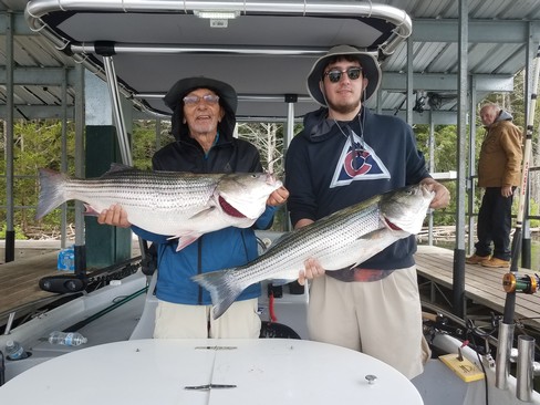 Nice Striped Bass