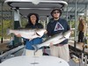 (06/10/2020) - Nice Striped Bass