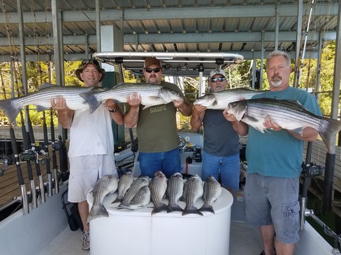 Nice Striped Bass