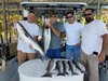 (06/13/2020) - Nice Striped Bass