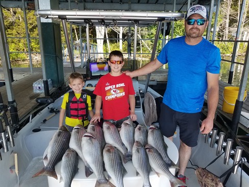 Nice Striped Bass