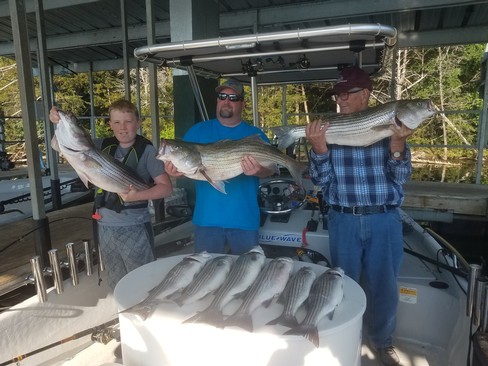 Nice Striped Bass