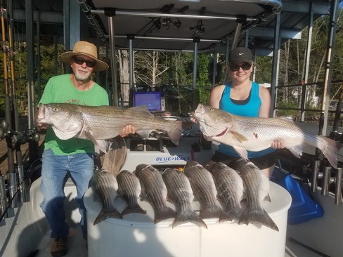 Nice Striped Bass