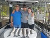(06/20/2020) - Nice Striped Bass