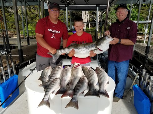 Nice Striped Bass