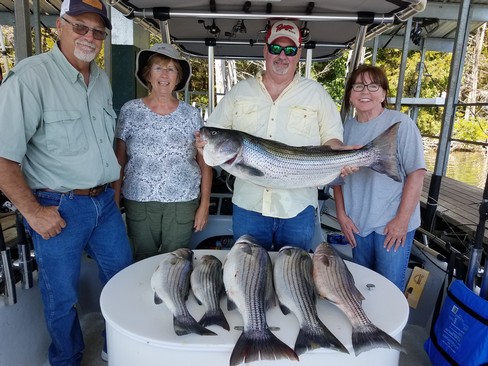 Nice Striped Bass