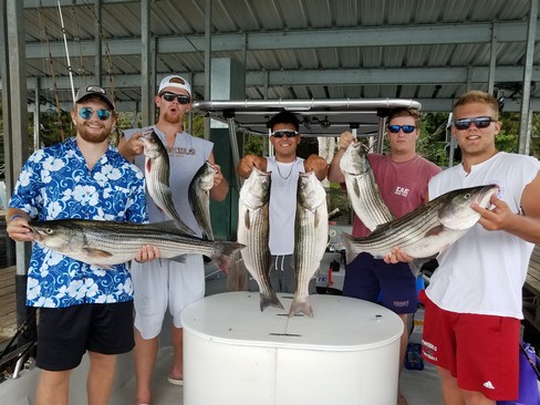 Nice Striped Bass